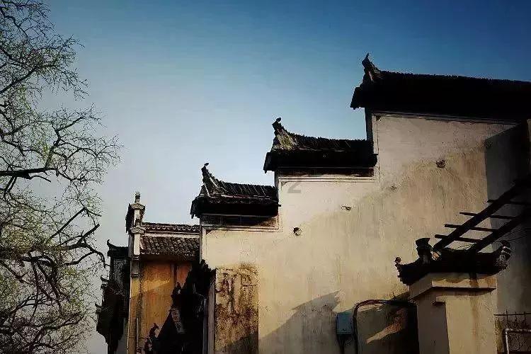 专业知识星球平台女生考不上大学怎么办?,掌握更多知识!
